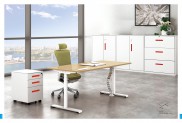 OFFICE TABLE B50-5